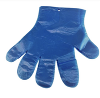 rękawiczki gastronomiczne